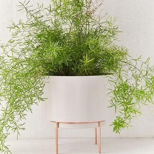 Adelphi 10” Planter