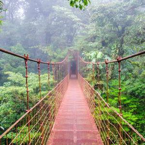 Honeymoon: 2 Cloud Forest Park Passes