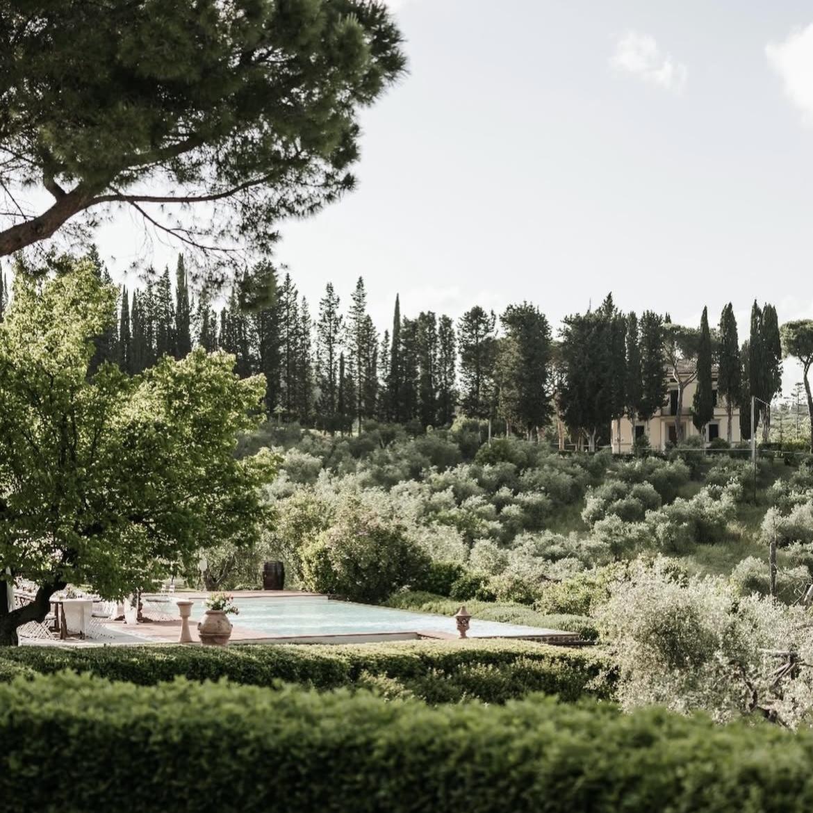 Where olive groves meet cypress trees a peaceful corner of our Tuscan haven.