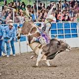 Steamboat Pro Rodeo
