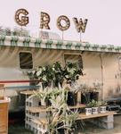 Grow Plant Shop