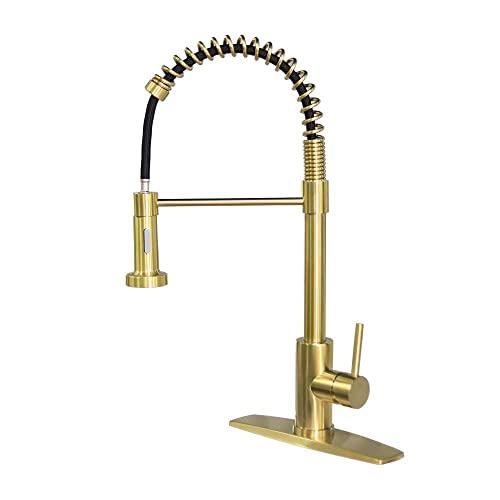 FORIOUS Gold Kitchen Faucet with Pull Down Sprayer, Commercial Spring Kitchen Sink Faucet with Pull Out Sprayer, Single Handle Kitchen faucets with Deck Plate, Champagne Gold …