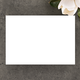 pdp_back_envelope