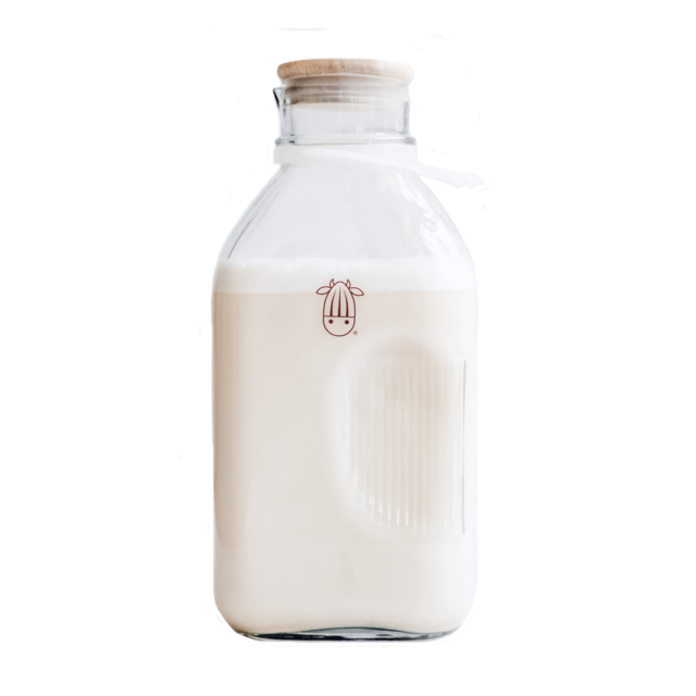 Glass Jug
