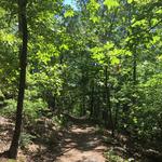 Hot Springs National Park