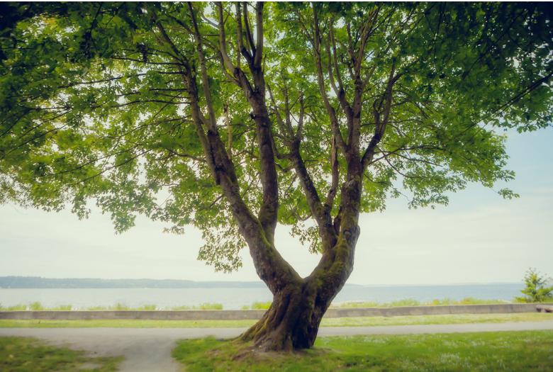 The Wedding Website of Sarah Smallwood and Eric Jonsson