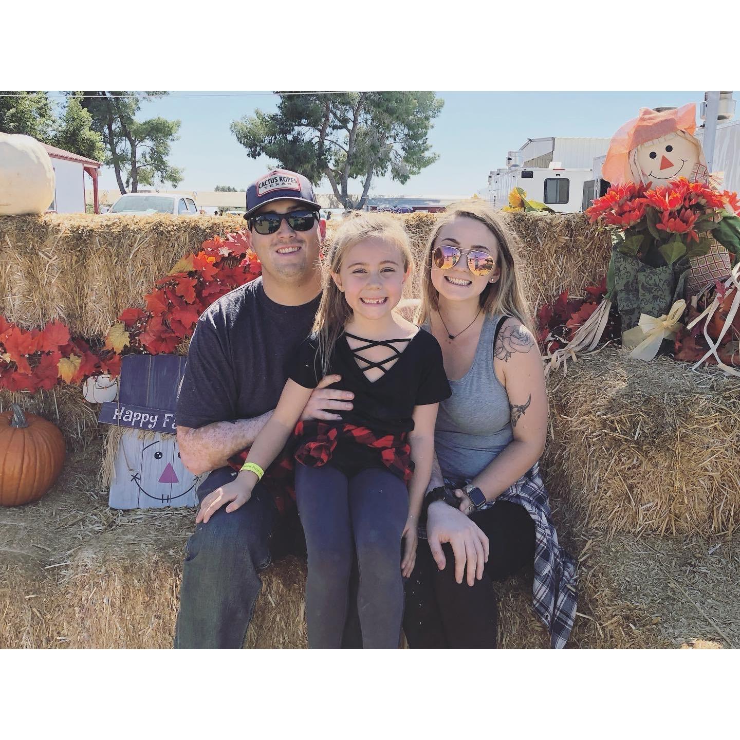 pumpkin patch year #2