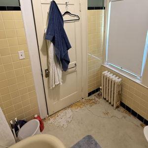 Bathroom Repair + Reno