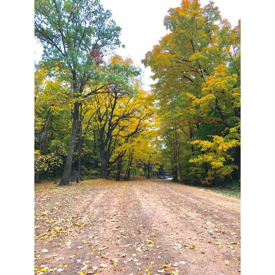 The driveway up to camp.