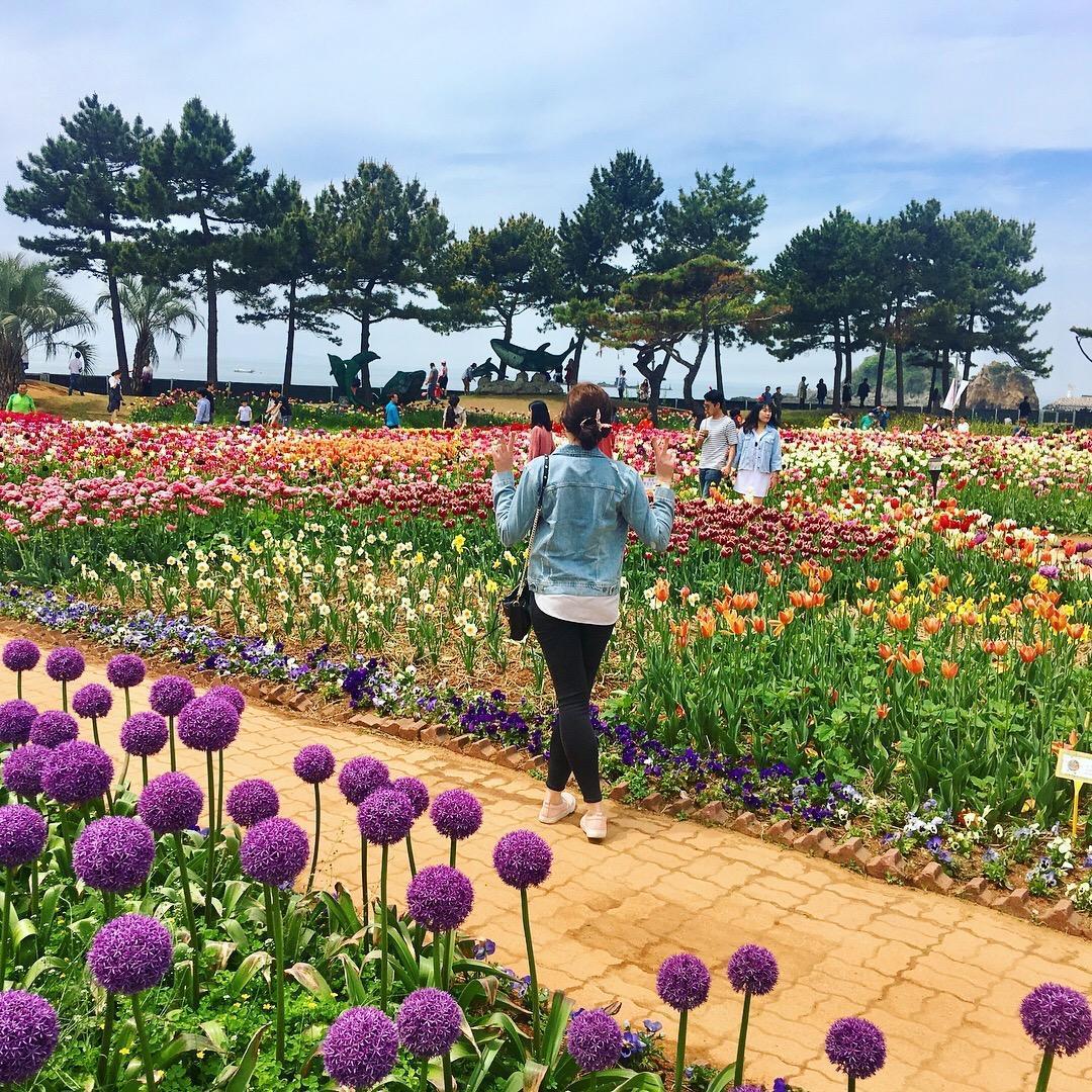Taean, South Korea