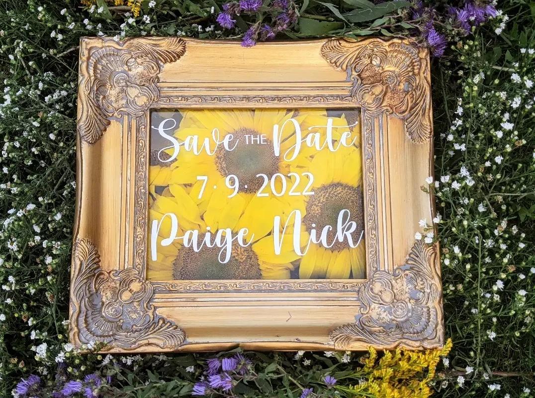 The Wedding Website of Paige Litsheim and Nick Daywalt