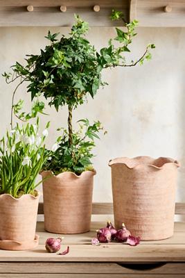 Terracotta Pie Crust Rim Planter, Straight Side