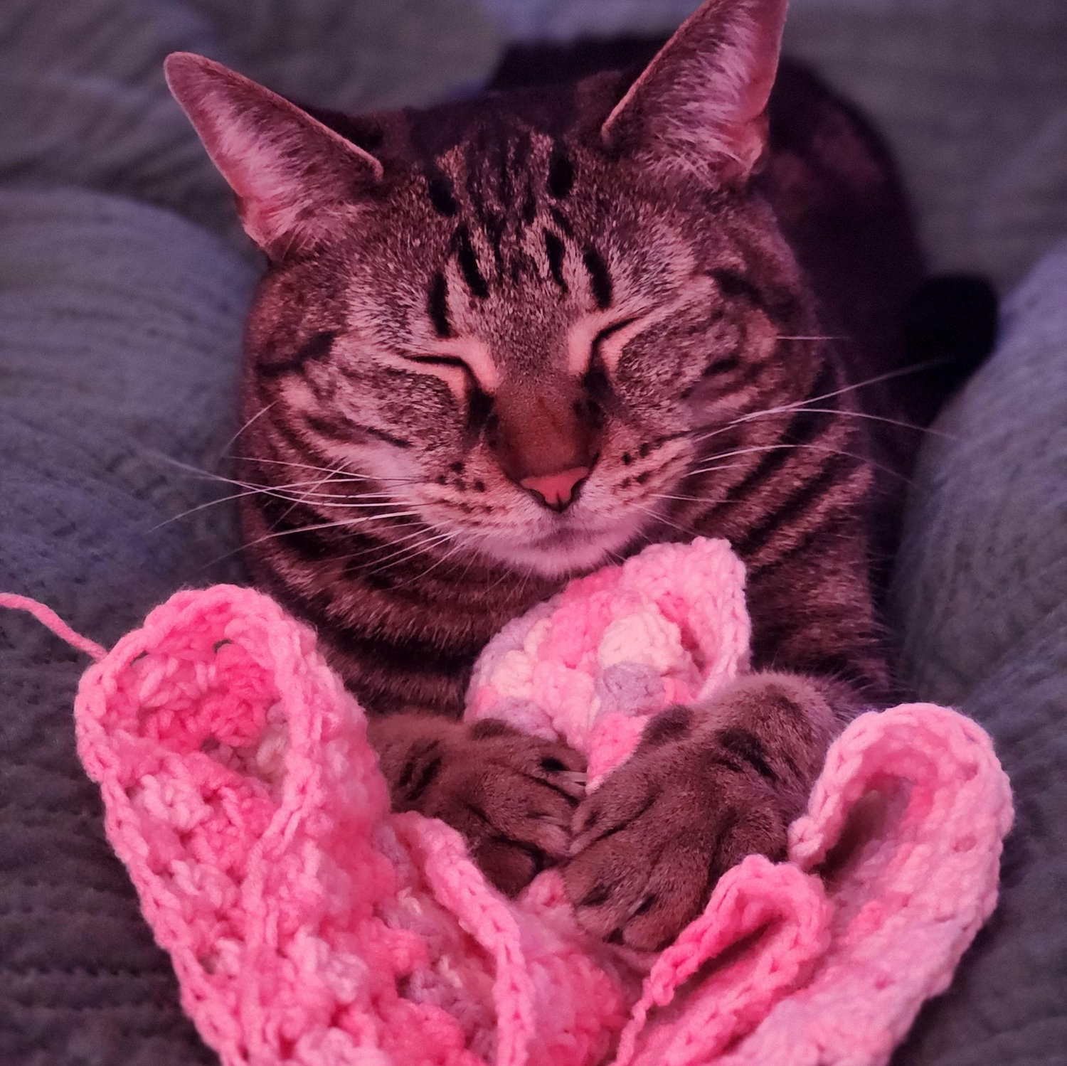Rue's crochet
