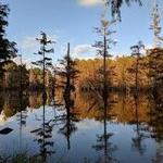 LeFleur's Bluff State Park