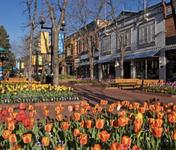 Pearl Street Mall