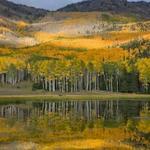 Fish Lake