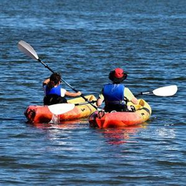 Kayak