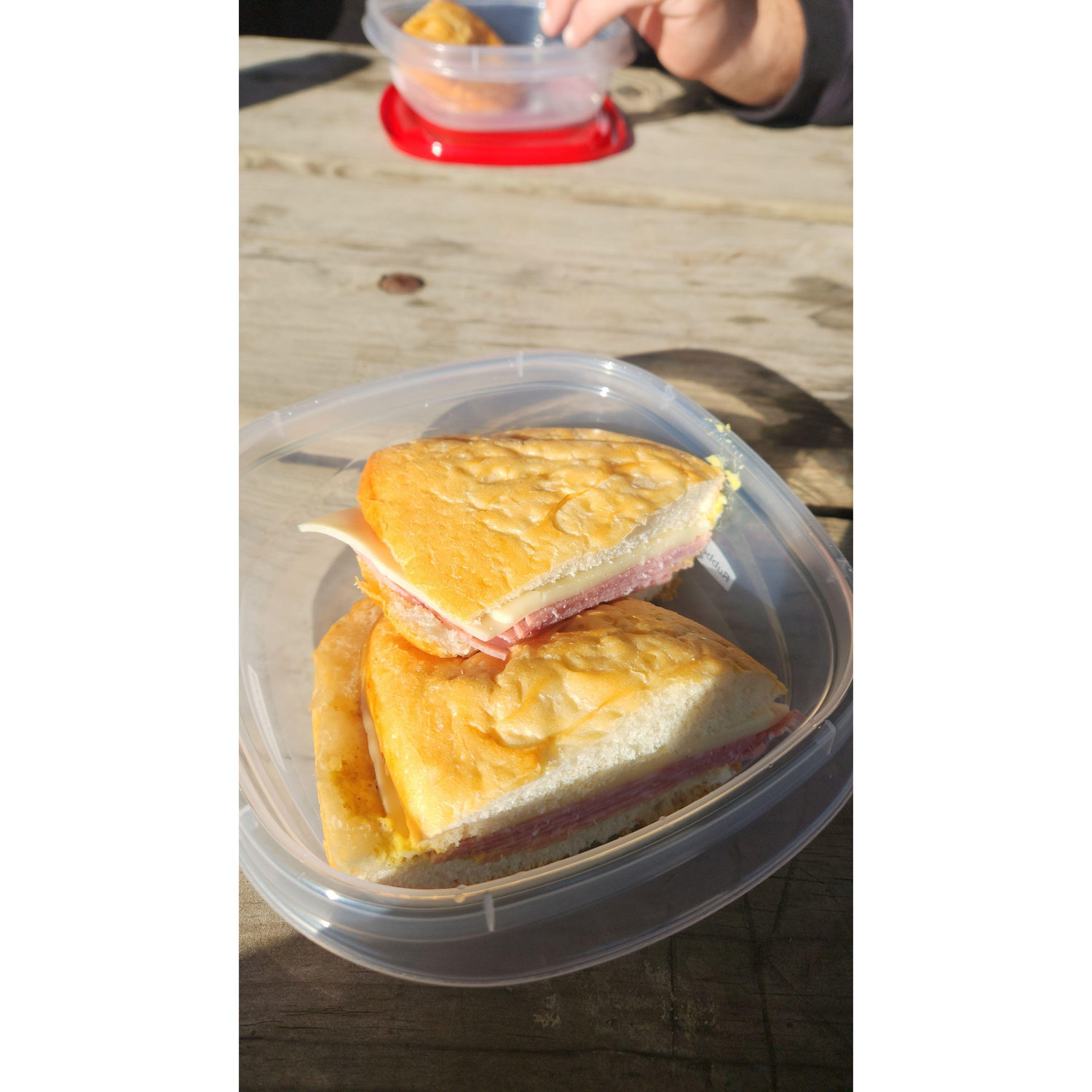 Our picnic after he proposed