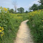 Mequon Nature Preserve