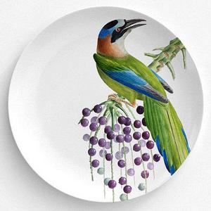 Mot Mot Bird, Bird Plate, Melamine Plate, Vintage Bird Illustration, decorative plate, Dinner Plate, 10" plate, bird design