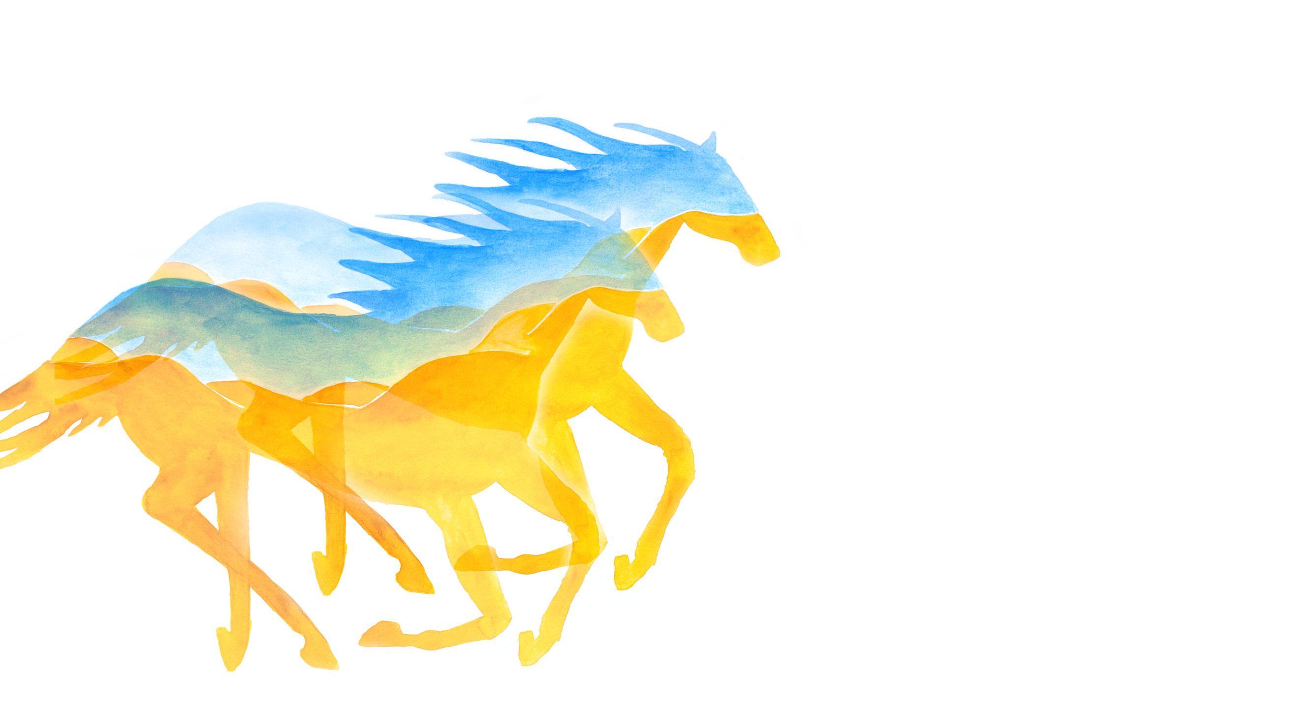 Footer image