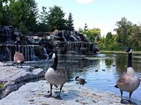 Bay Beach Wildlife Sanctuary