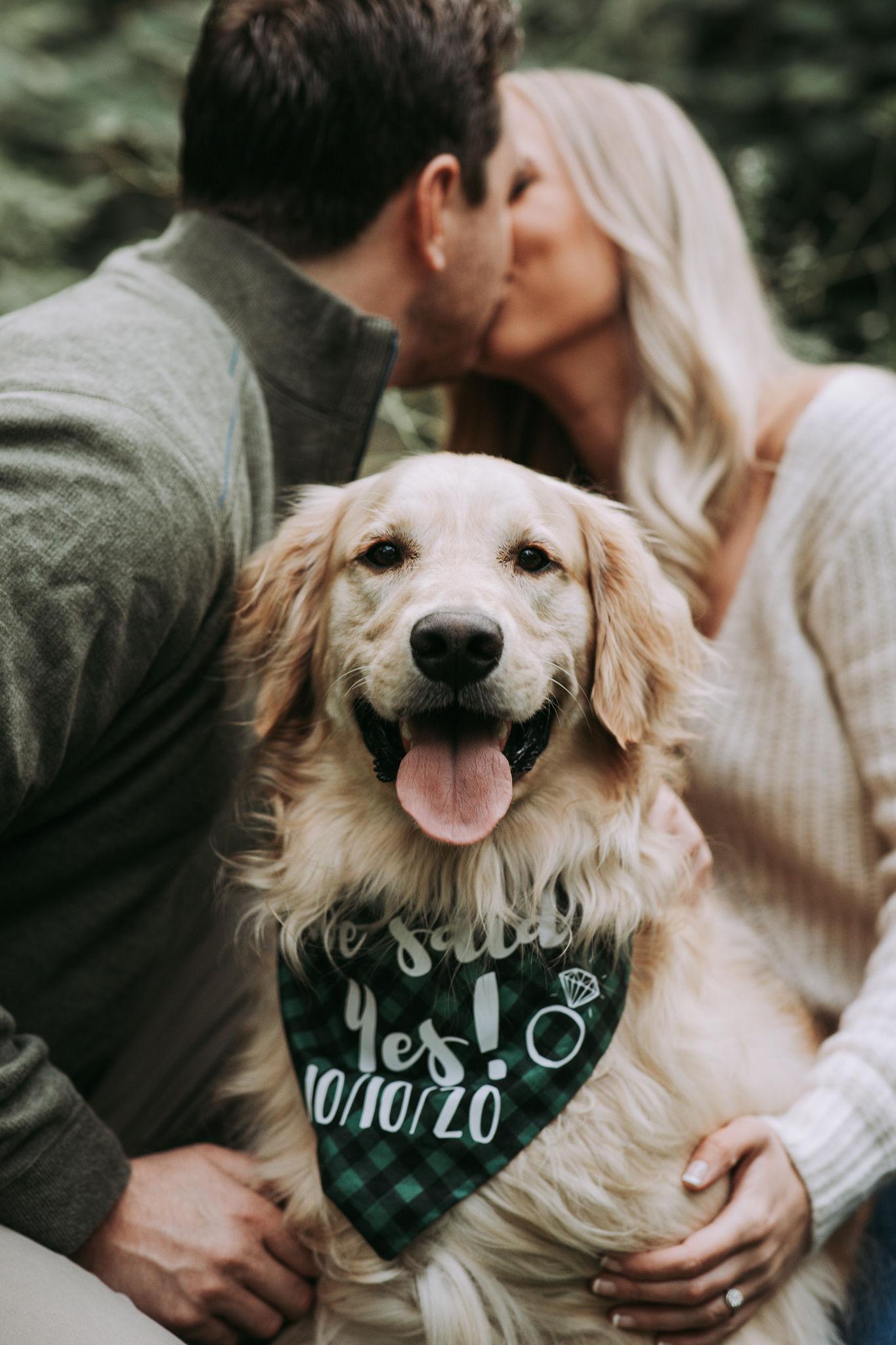 The Wedding Website of Holly Mykolaitis and Brett Ruby