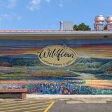 Wildflour Artisan Bakery & Grill