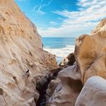 Black's Beach Hike