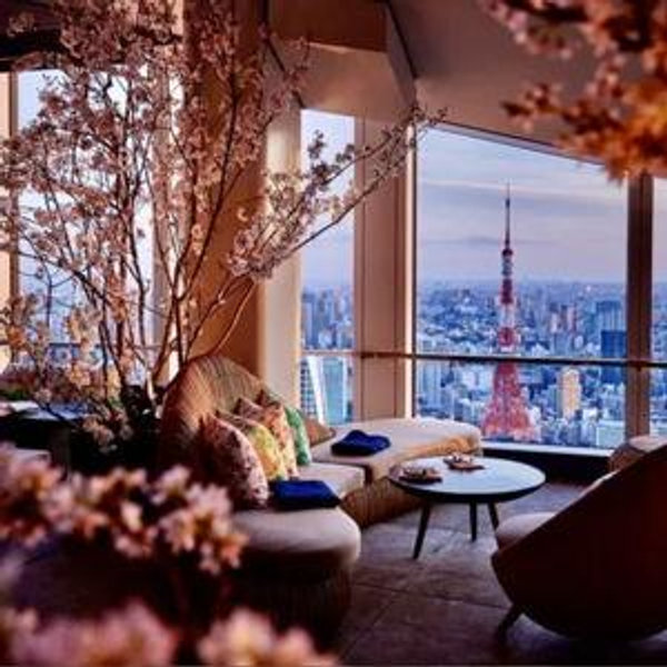 Tokyo: Rooftop Drinks Tokyo