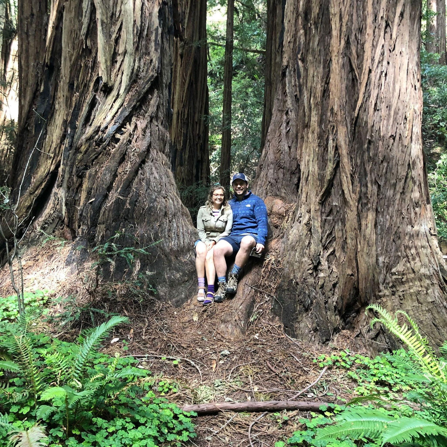 The Redwoods! 2019