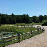 The Nature Trail and Cranberry Bog