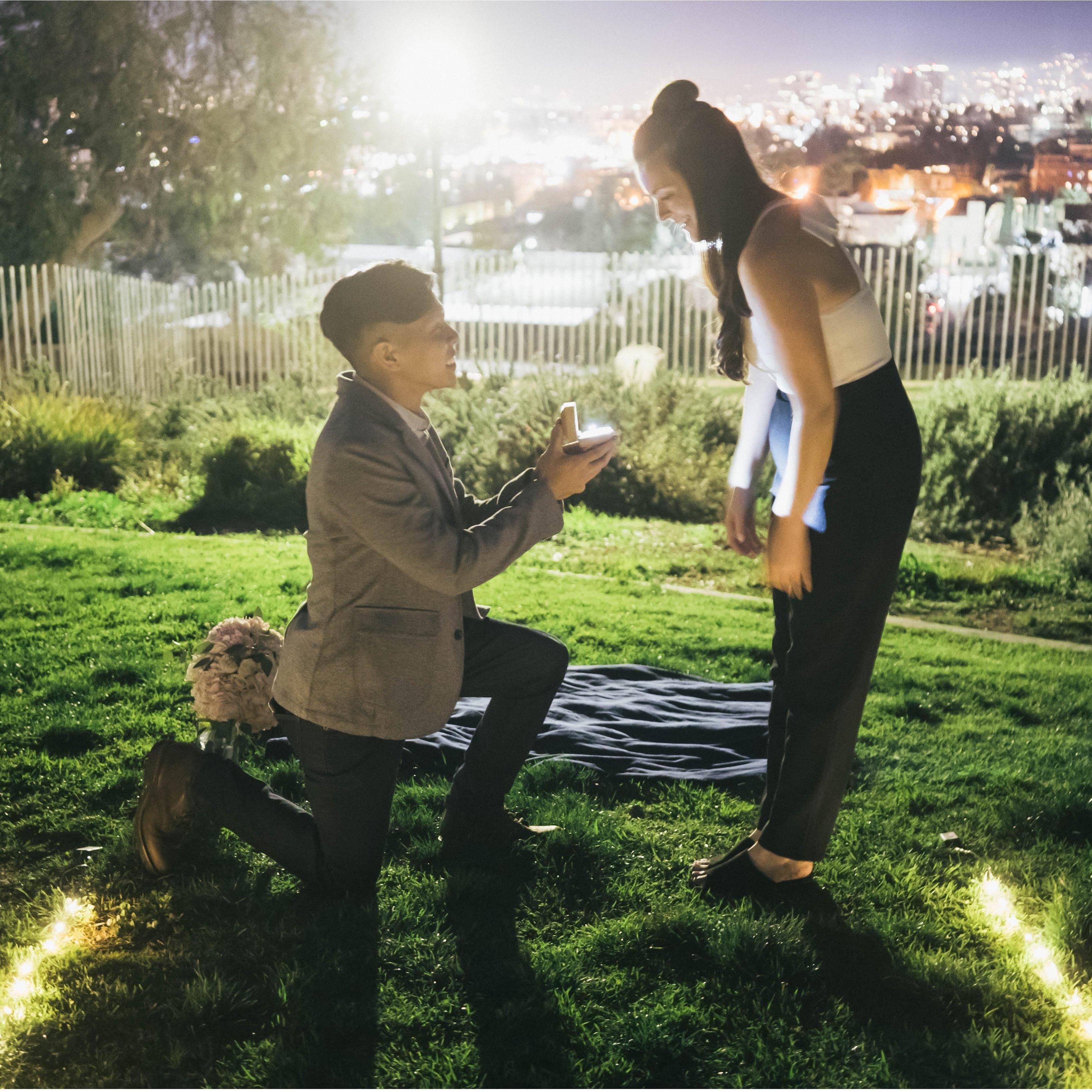 The proposal, at Barnsdall Park in Hollywood, CA