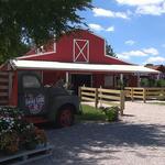 Lucky Ladd Farms