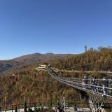 Gatlinburg Skypark