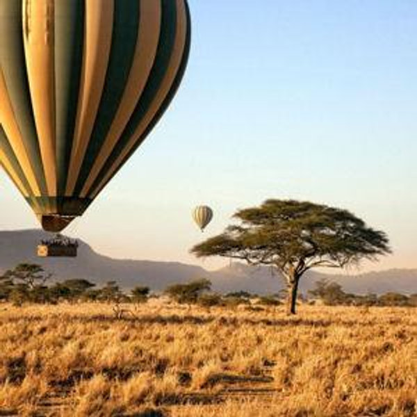 Sunrise Hot Air Balloon Safari Adventure