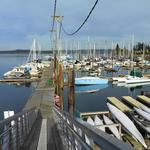Boston Harbor Marina