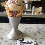 Bluebird Ice Cream