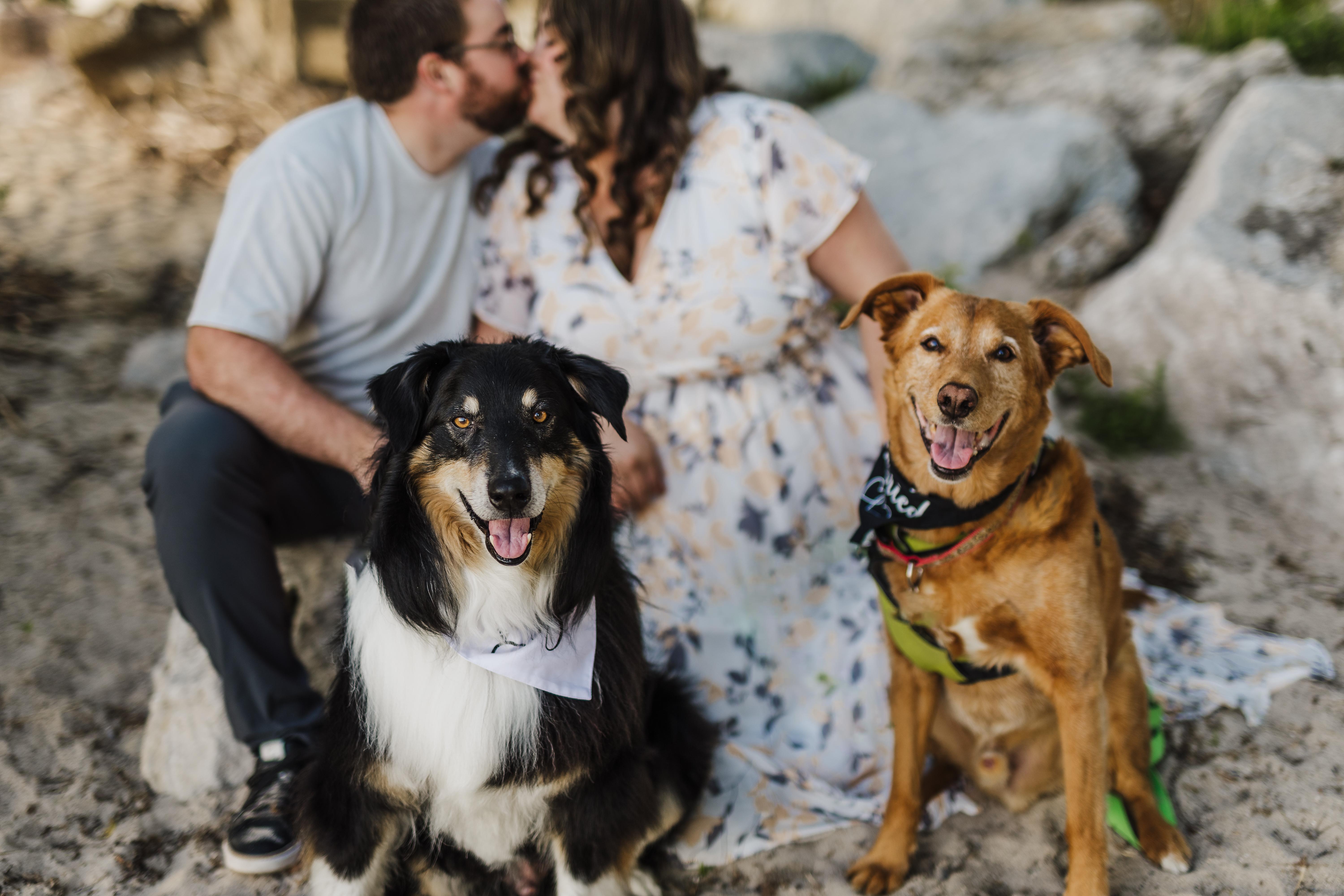 The Wedding Website of Brittany Andor and Kyle McLean