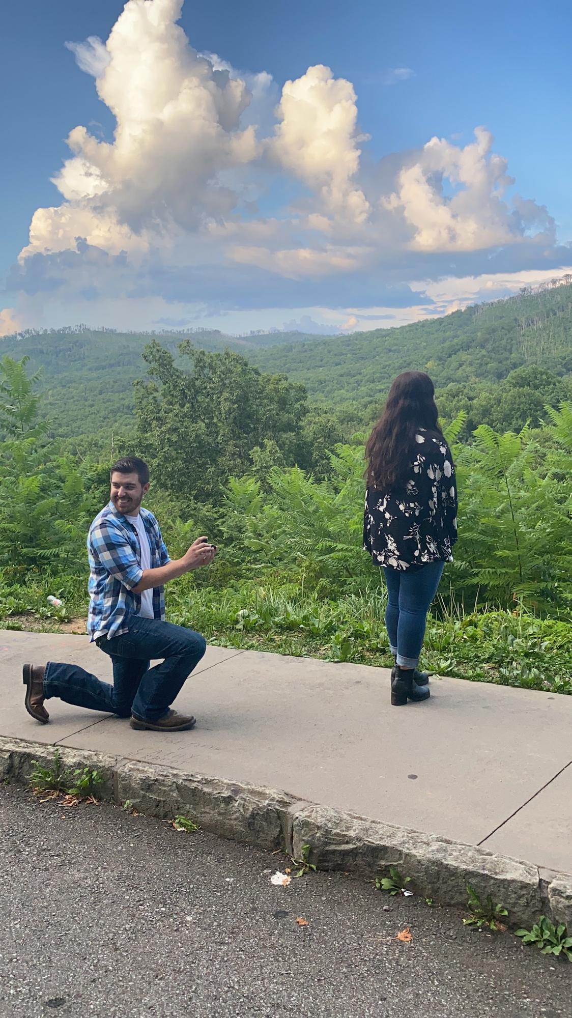 Pictures are worth a thousand words
Tanners proposal