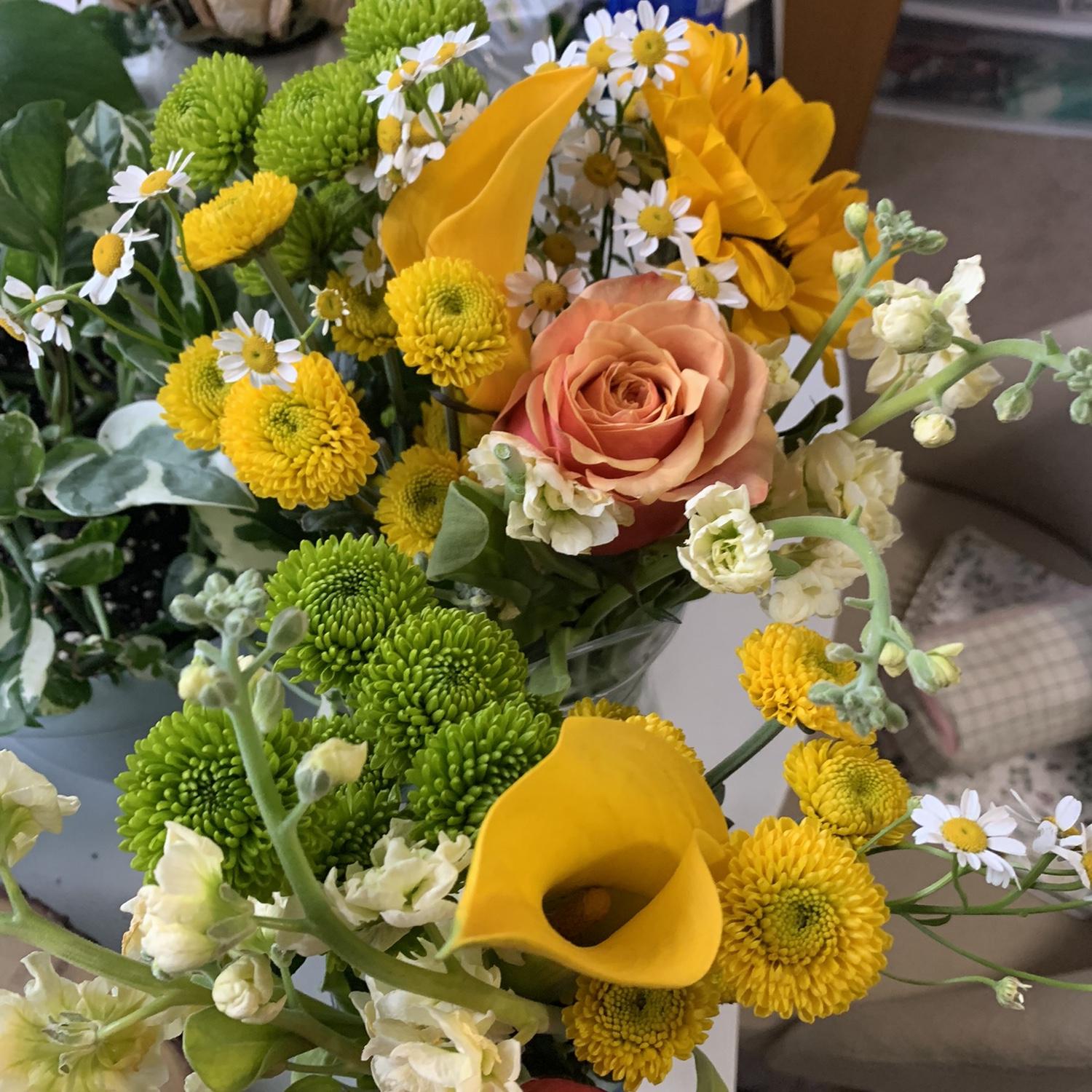 The 9th bouquet from Zac :))