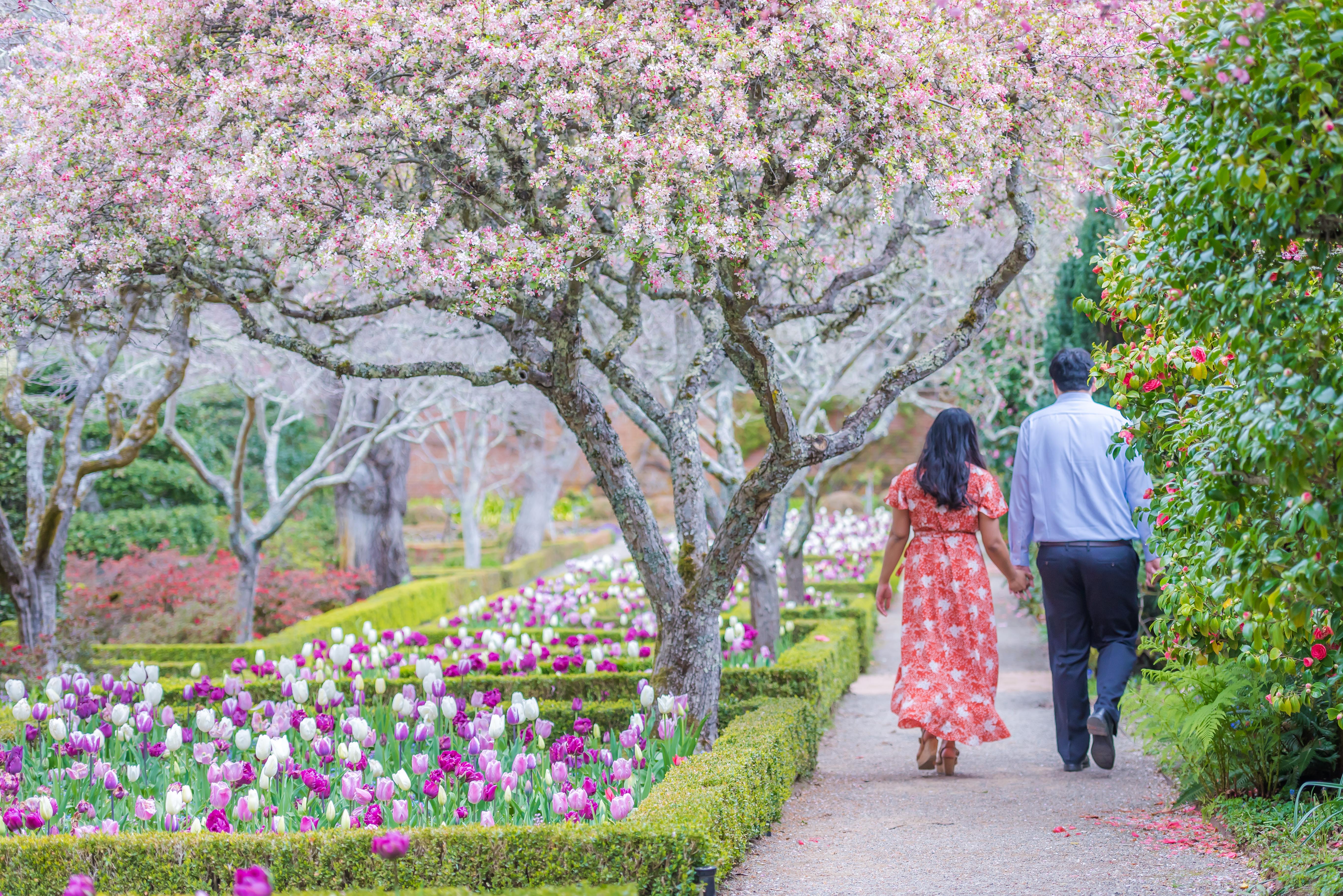 The Wedding Website of Janelle Alquiza and Rudolf Navales