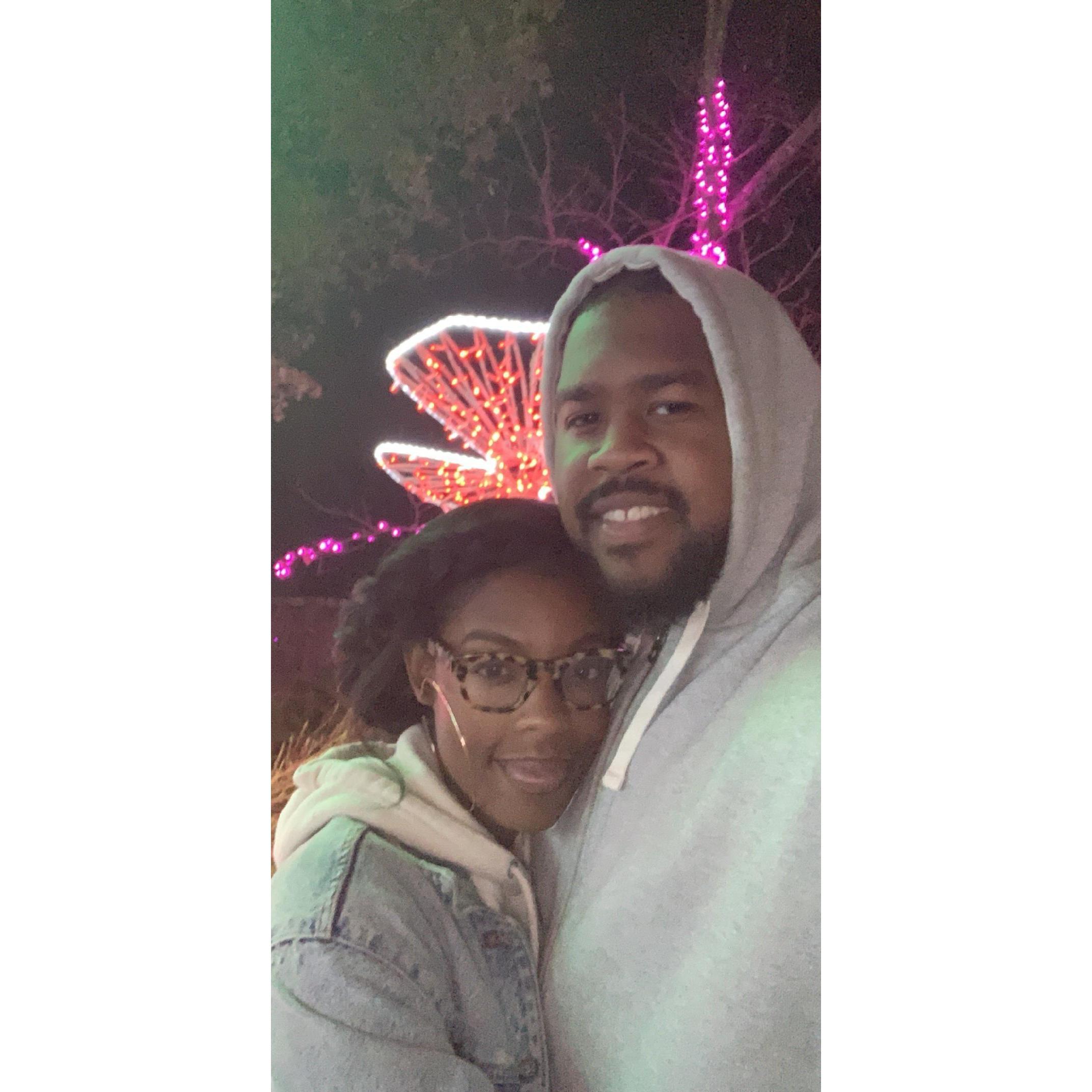 Zoo Lights, December 2019