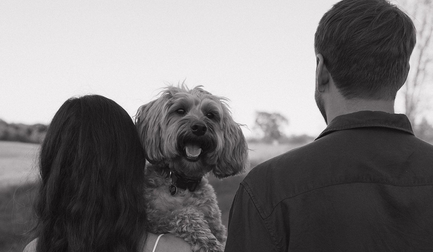 Footer image