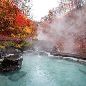 Night Stay at a Ryokan with an Onsen