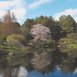 Azalea Garden