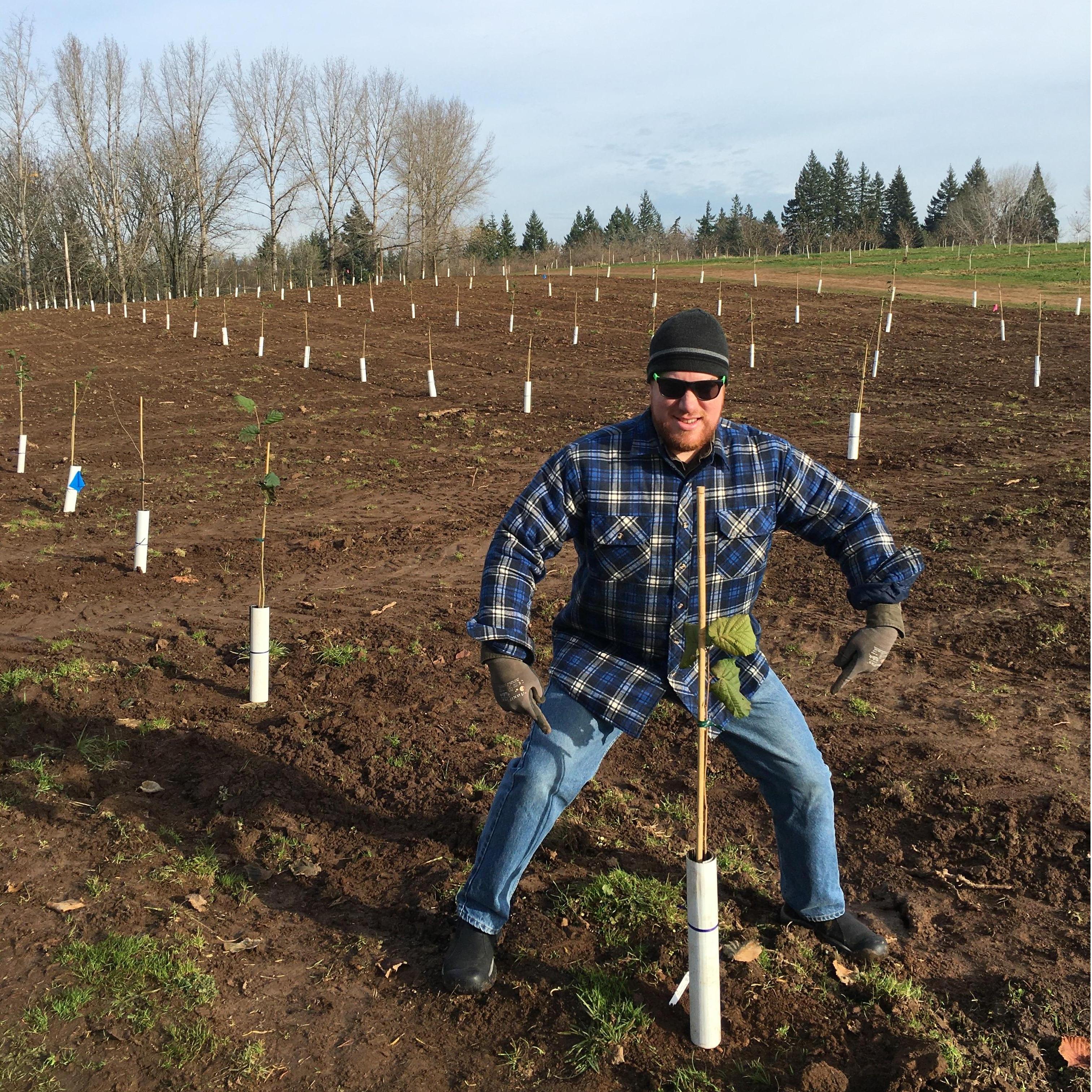 Trevor planting a filbert 2019