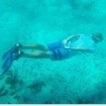 Snorkeling / Scuba Diving