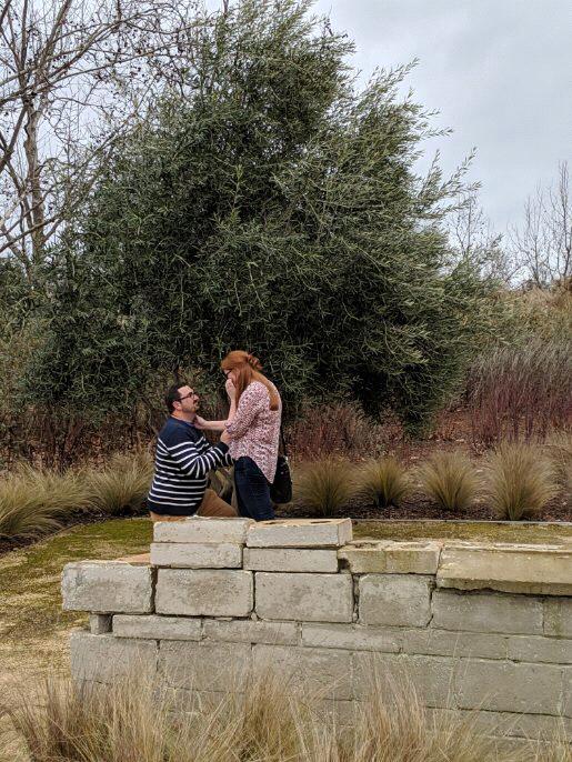 Taylor proposing