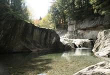Warren Falls